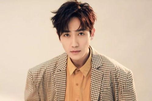 宫泽铃在线视频,揭秘日本流行文化新宠的舞台魅力