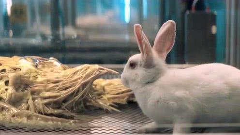 在线视频特污兔